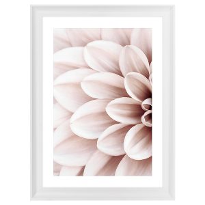 Obraz w ramie Powder Dahlia No.1 58×78 cm 230475