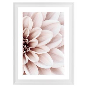Obraz w ramie Powder Dahlia No.2 58×78 cm 230476