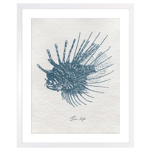 Obraz w ramie Red Lionfish 43×53 cm 230414