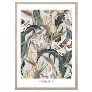 Obraz w ramie Retro Strelizia 53×73 cm 230452