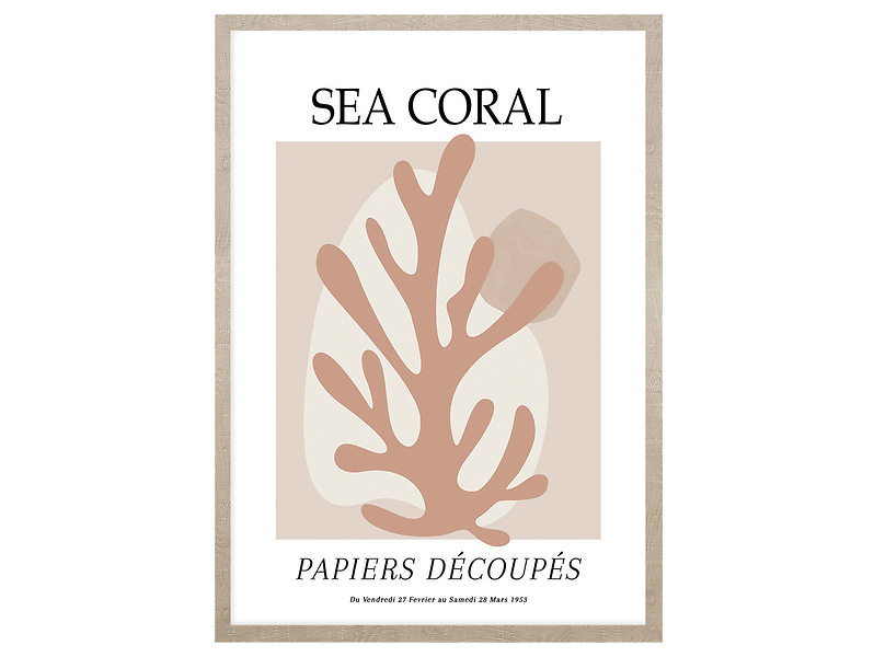 Obraz w ramie Sea Coral 53x73 cm 230358