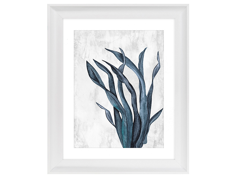 Obraz w ramie Sea Plant No. 1 46x56 cm 230415