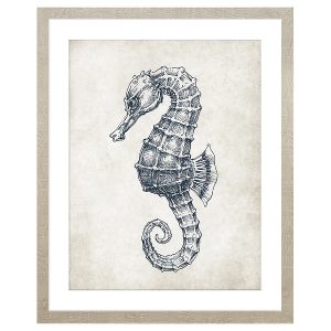 Obraz w ramie Seahorse Outline 43×53 cm 230411