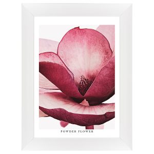 Obraz w ramie Shaded Pink Flower 62×82 cm 230473