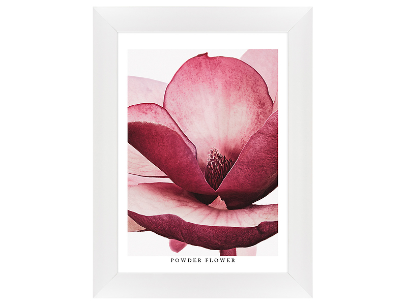 Obraz w ramie Shaded Pink Flower 62x82 cm 230473