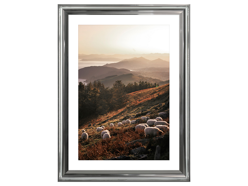 Obraz w ramie Sheep In The Valley 58x78 cm 230526