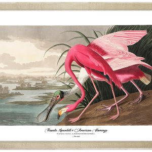 Obraz w ramie Sponbill And Flamingo 76×56 cm 230390