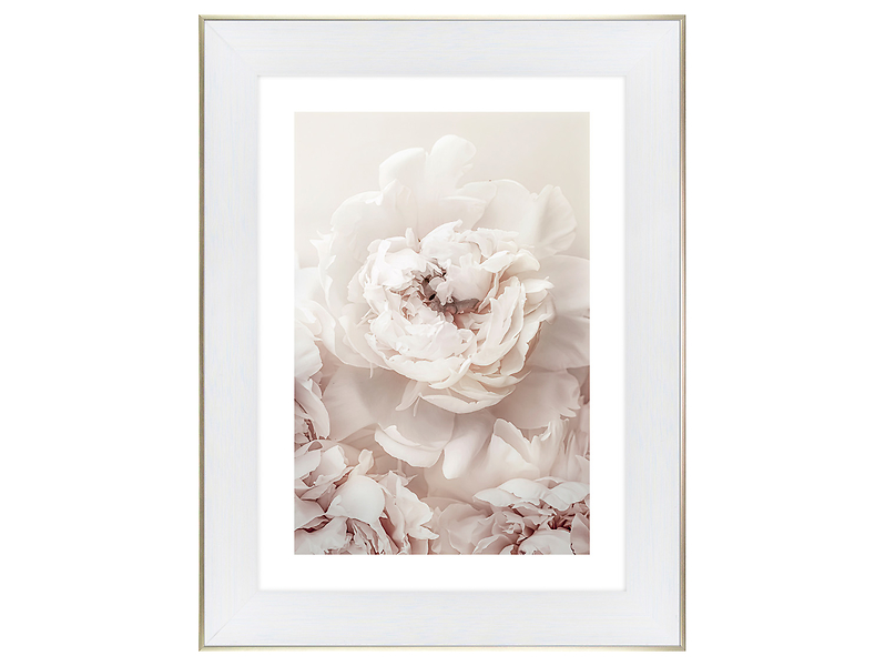 Obraz w ramie Spreading Peonies 64x84 cm 230460