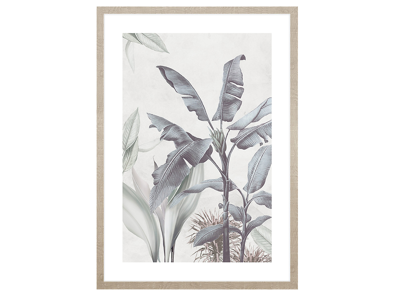 Obraz w ramie Strelicia In The Jungle No. 1 53x73 cm 230403