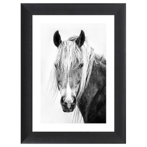 Obraz w ramie The Eye Of The Icelandic Horse 62×82 cm 230578