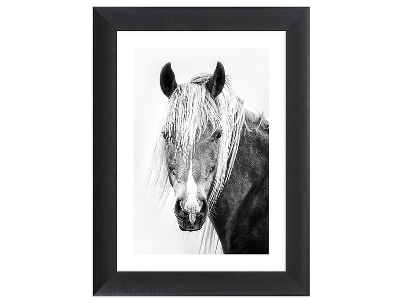 Obraz w ramie The Eye Of The Icelandic Horse 62x82 cm 230578