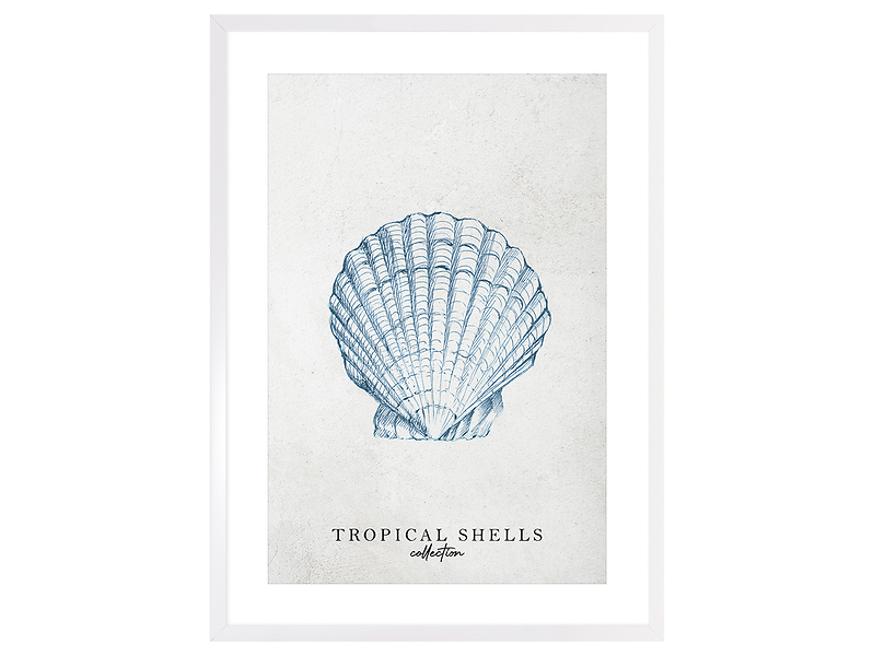 Obraz w ramie Tropical Shells Collection No. 2 53x73 cm 230420