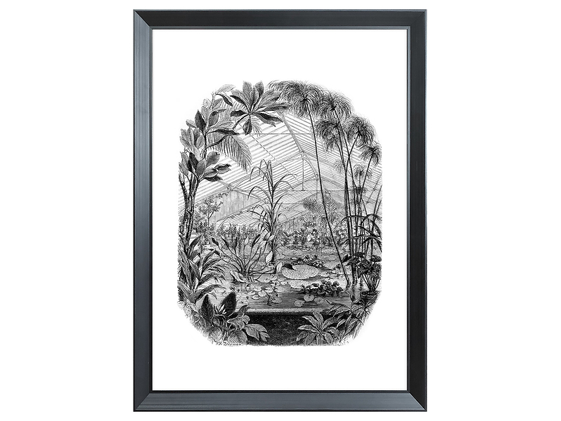 Obraz w ramie View Of The Botanical Garden 56x76 cm 230396
