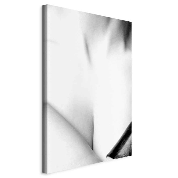 Obraz Wdzięk 20 x 30 cm 596941