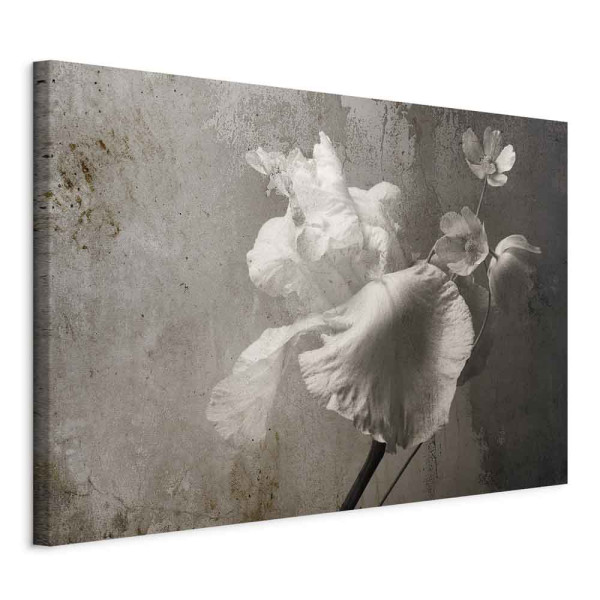 Obraz Wenecki blask 90 x 60 cm 598397