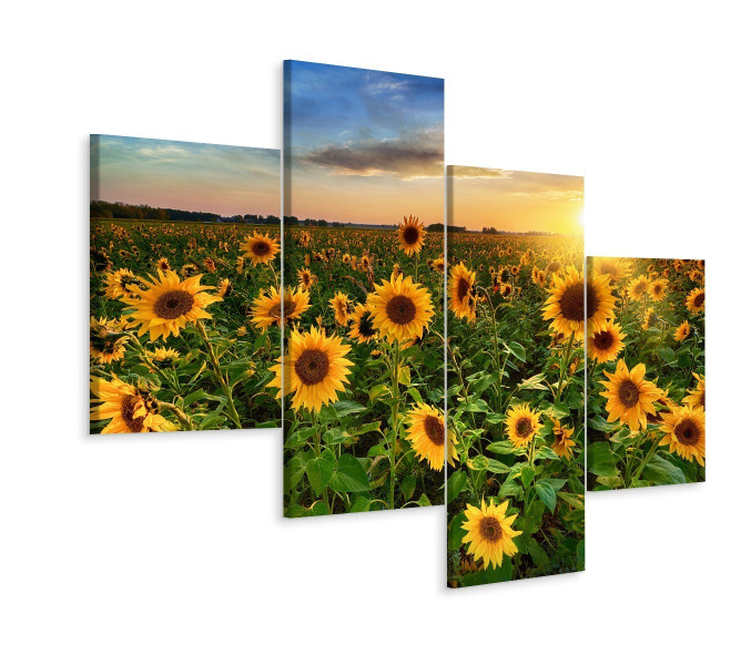 Obraz Wieloczęściowy KWIATY Słonecznika Pejzaż 3D 120x75cm 137944