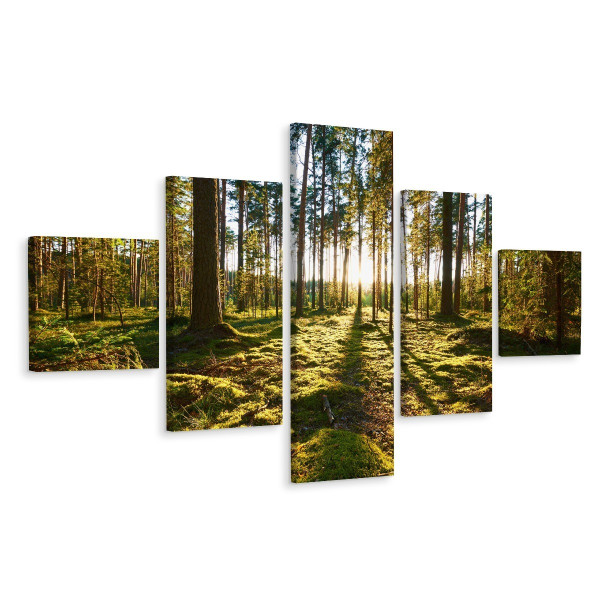 Obraz Wieloczęściowy LAS Drzewa Trawa Zieleń 3D 250x150cm 138511