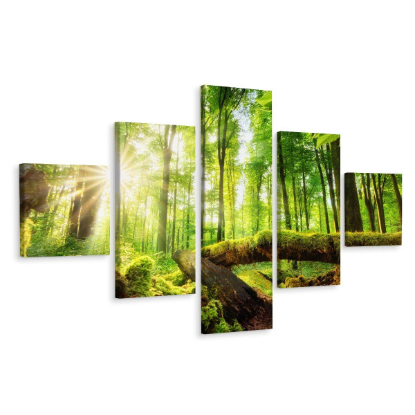 Obraz Wieloczęściowy LEŚNY KRAJOBRAZ 3D 150x90cm 138534