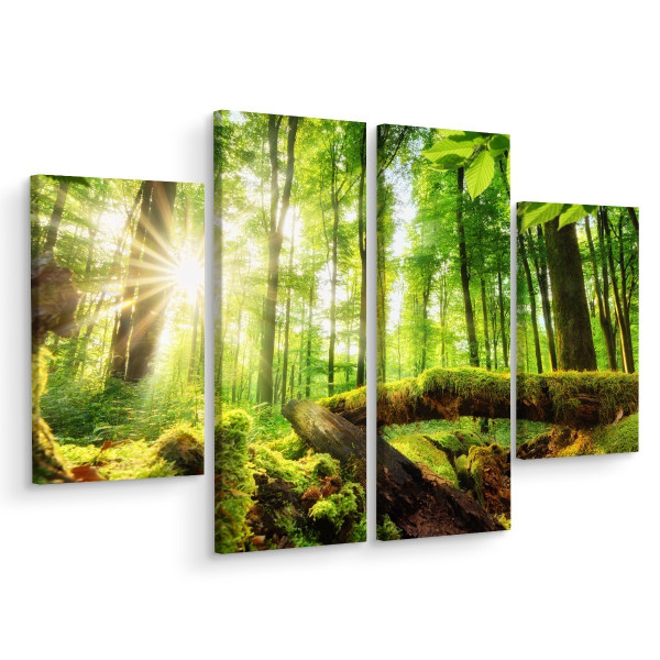 Obraz Wieloczęściowy Promienie Słońca w Lesie 3D 160x120cm 137870