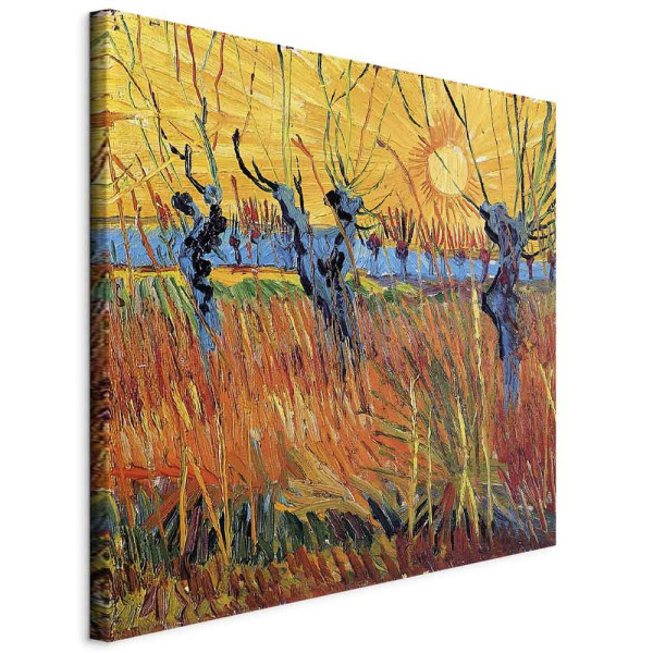 Obraz Wierzby 40 x 40 cm 605582