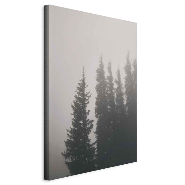 Obraz Zapach leśnej mgły 60 x 90 cm 605703
