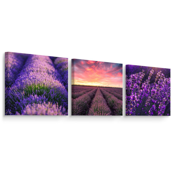 Obrazy Do Kuchni SET Barwne Kwiaty Lawendy 90x30cm 212676