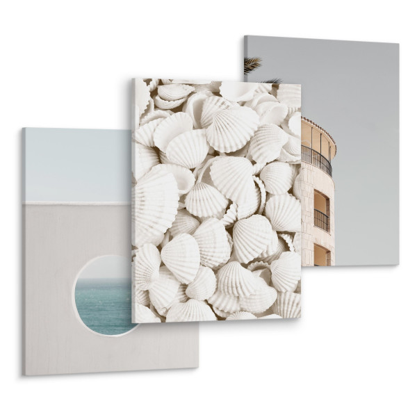 Obrazy Morze Muszle Architektura 3D 87676