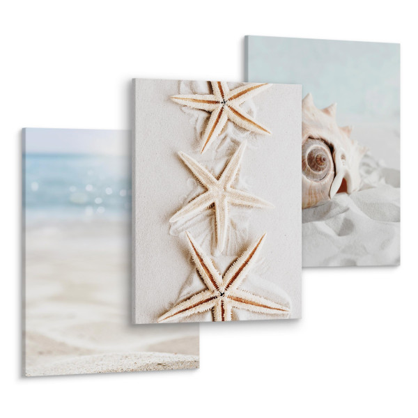 Obrazy Plaża Morze Muszle Natura 3D 87687
