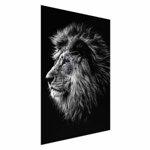 Plakat Niebieskooki lew 21×30 cm 579048 Plakat Niebieskooki lew 21×30 cm 579048