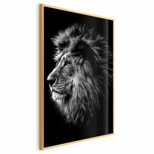 Plakat Niebieskooki lew 21×30 cm 589123 Plakat Niebieskooki lew 21×30 cm 589123