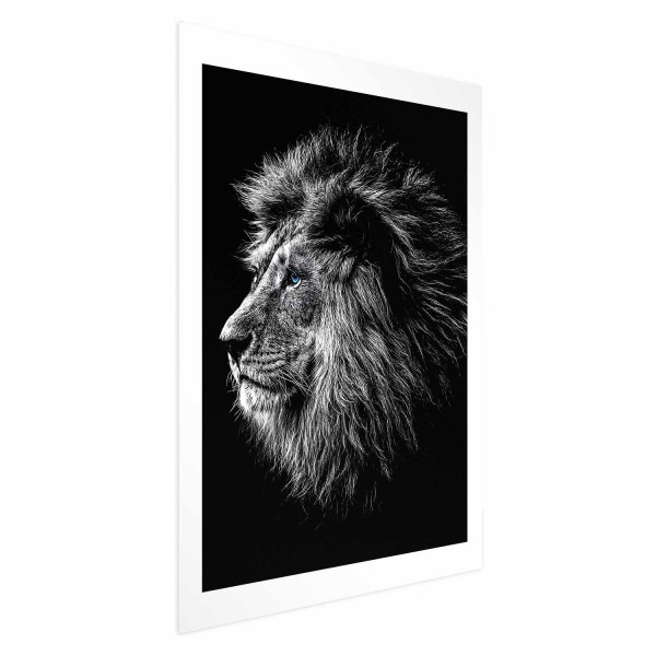 Plakat Niebieskooki lew 29,7x42 cm 579439