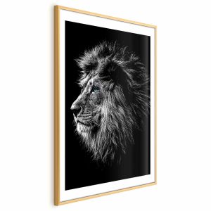 Plakat Niebieskooki lew 29,7×42 cm 590867 Plakat Niebieskooki lew 29,7×42 cm 590867