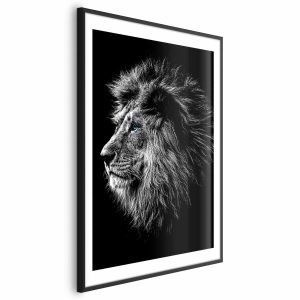 Plakat Niebieskooki lew 40×60 cm 584722 Plakat Niebieskooki lew 40×60 cm 584722