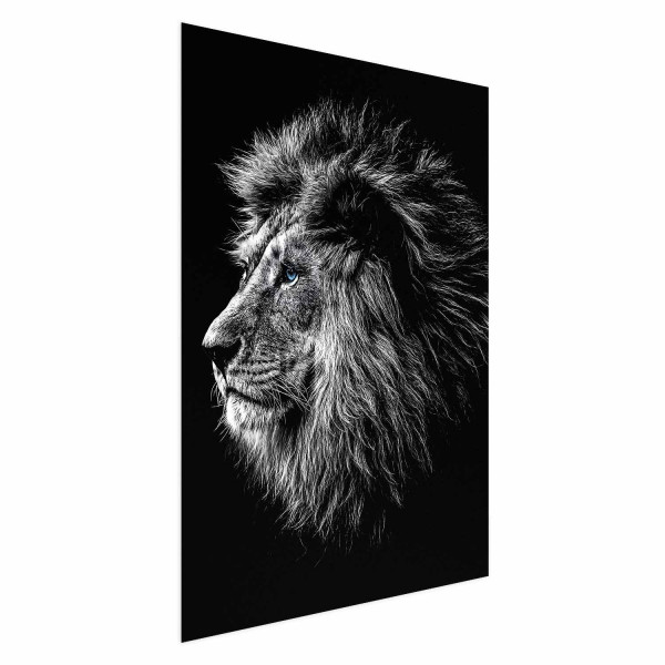 Plakat Niebieskooki lew 60x90 cm 581906