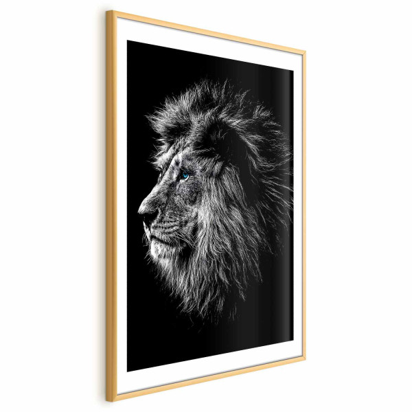 Plakat Niebieskooki lew 60x90 cm 586735