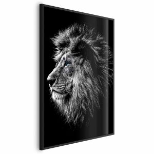 Plakat Niebieskooki lew 60×90 cm 580656 Plakat Niebieskooki lew 60×90 cm 580656