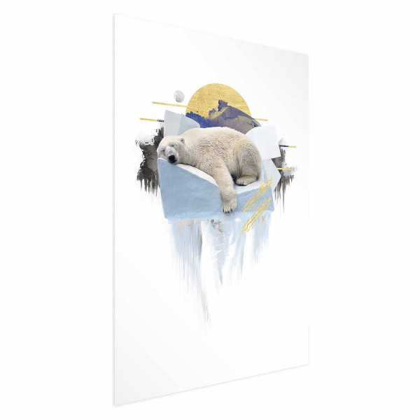 Plakat Niedźwiedź polarny 40x60 cm 584864