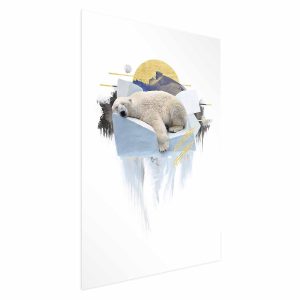 Plakat Niedźwiedź polarny 60×90 cm 578871 Plakat Niedźwiedź polarny 60×90 cm 578871