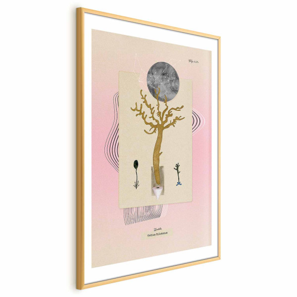 Plakat Niezwykła roślina 40x60 cm 581868