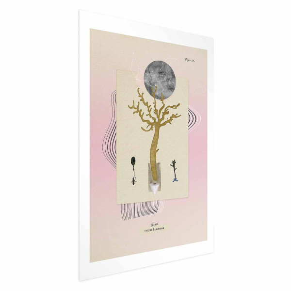 Plakat Niezwykła roślina 40x60 cm 581330