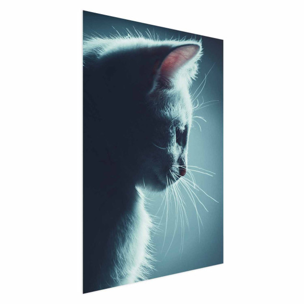 Plakat Nocny włóczęga 29,7x42 cm 585021