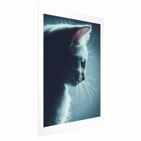Plakat Nocny włóczęga 60x90 cm 582606
