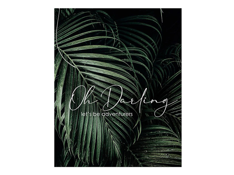 Plakat Palma Oh Darling 50x70 cm 38048