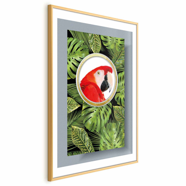 Plakat Papuga w dżungli 29,7x42 cm 591129