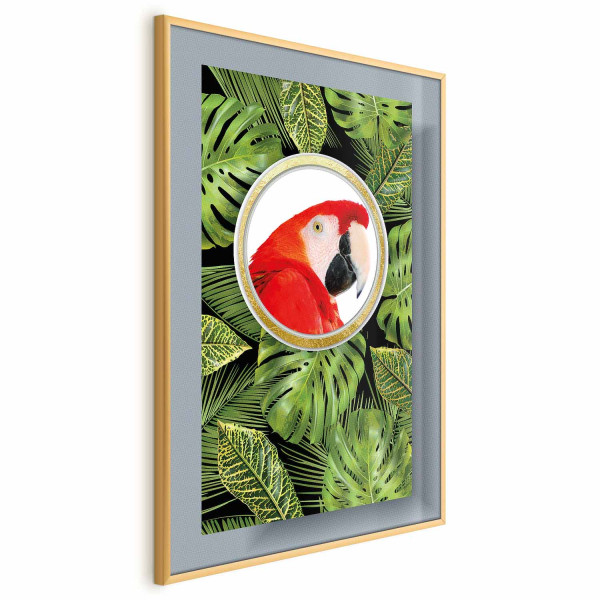 Plakat Papuga w dżungli 40x60 cm 581681