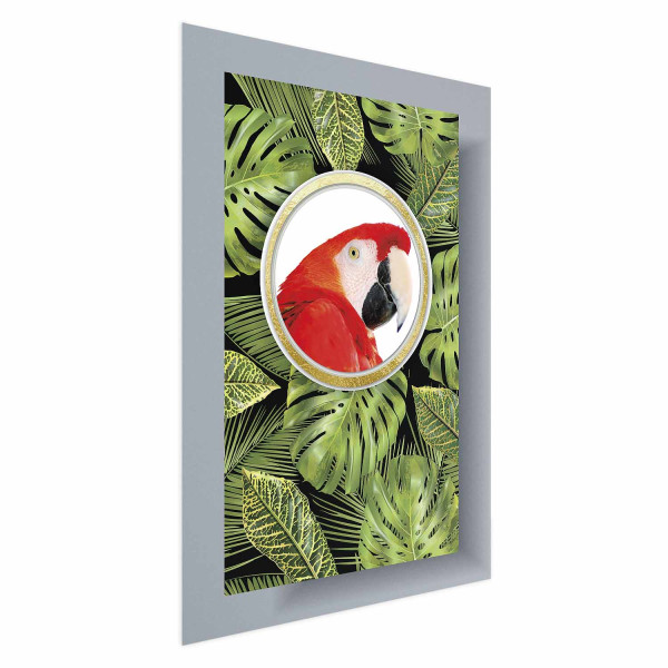 Plakat Papuga w dżungli 40x60 cm 577114