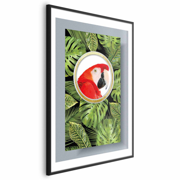 Plakat Papuga w dżungli 60x90 cm 582297