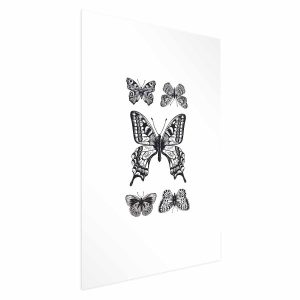 Plakat Pięć motyli 21×30 cm 581570 Plakat Pięć motyli 21×30 cm 581570