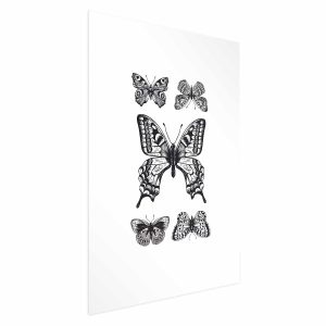 Plakat Pięć motyli 21×30 cm 577476 Plakat Pięć motyli 21×30 cm 577476