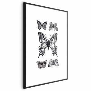 Plakat Pięć motyli 21×30 cm 582701 Plakat Pięć motyli 21×30 cm 582701